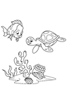 fisk og vannskildpadde