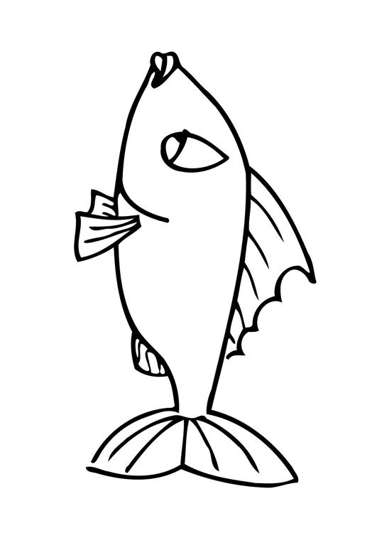 fisk