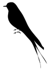 Bilde å fargelegge fugl