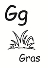 g