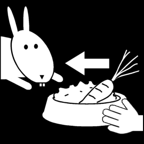 Bilde å fargelegge gi kaninen mat