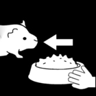 gi mat til marsvinet