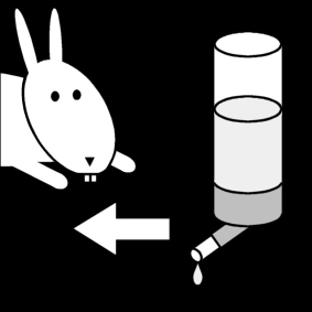 Bilde å fargelegge gi vann til kaninen
