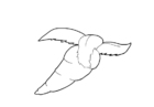 Bilder � fargelegge gulrot