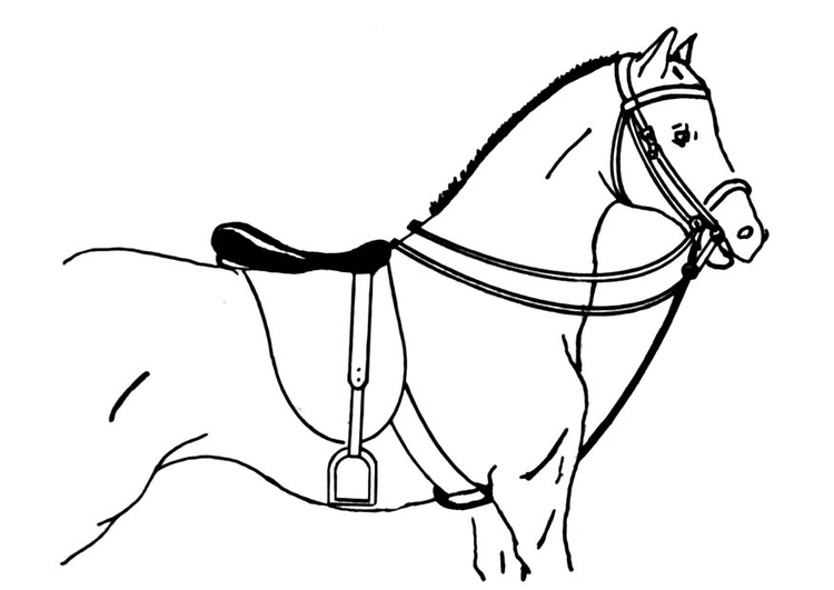 Bilde å fargelegge hest med sal