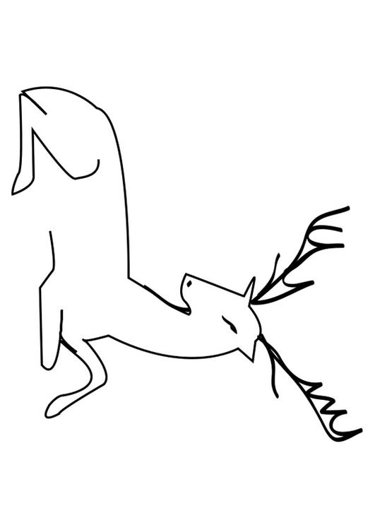 hjort