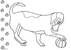 Bilde å fargelegge hund
