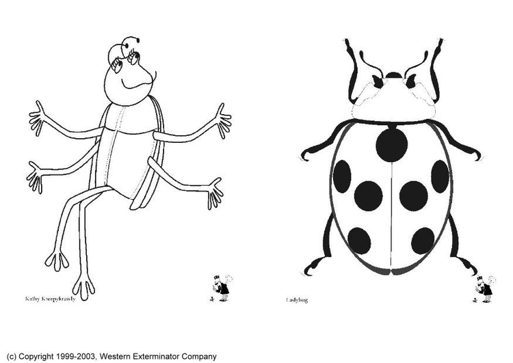 Bilde å fargelegge insekter