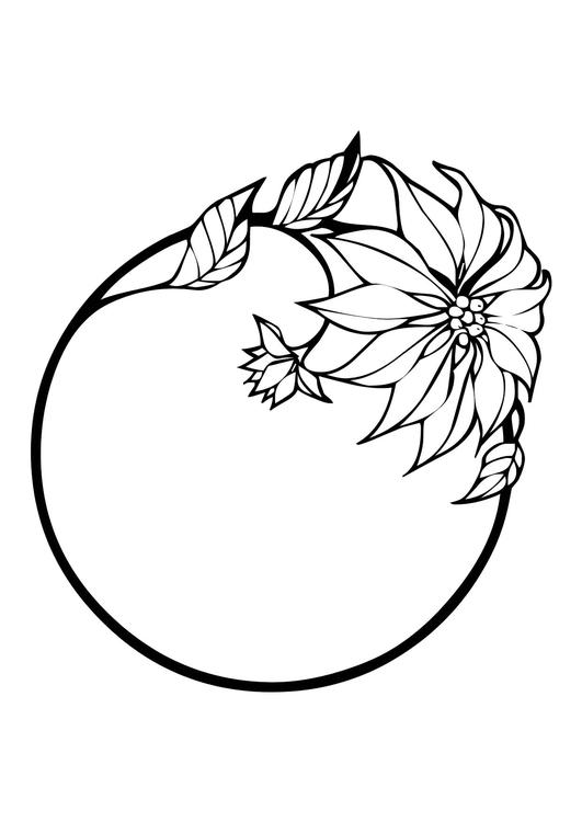 juleblomst