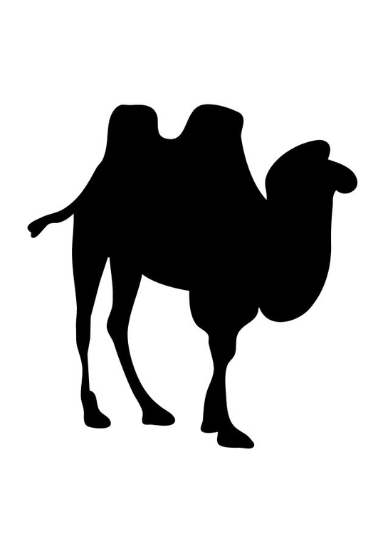 Bilde å fargelegge kamel