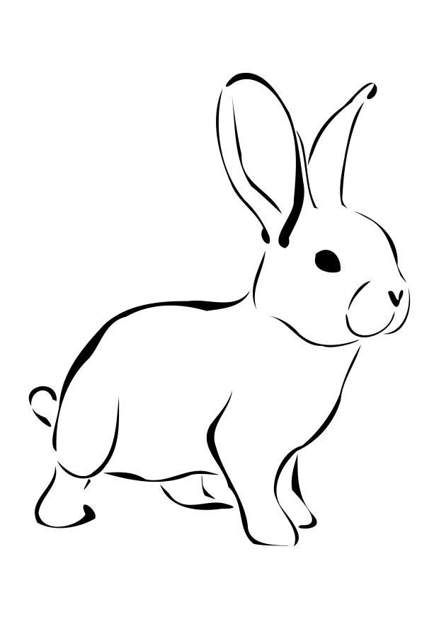 Bilde å fargelegge kanin