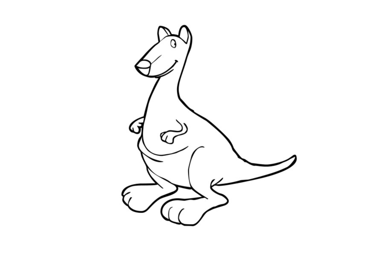 Bilde å fargelegge kenguru