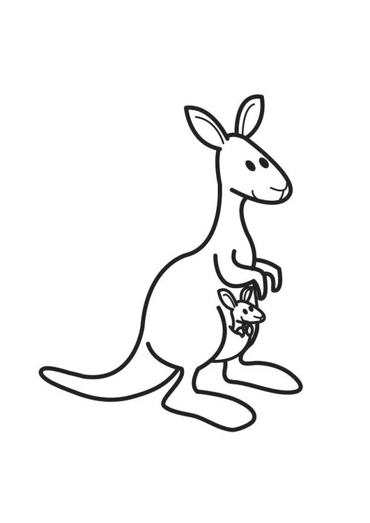 Bilde å fargelegge kenguru
