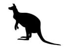 Bilder � fargelegge kenguru