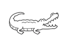 krokodille