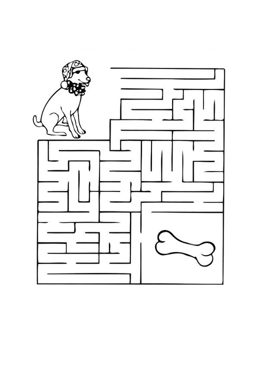 Bilde å fargelegge labyrint - hund