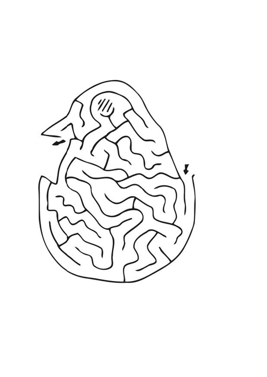 Bilde å fargelegge labyrint - kylling
