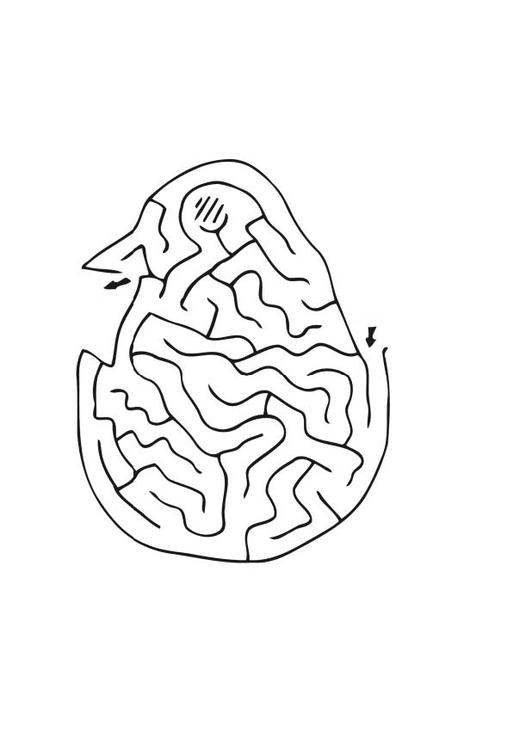 labyrint - kylling
