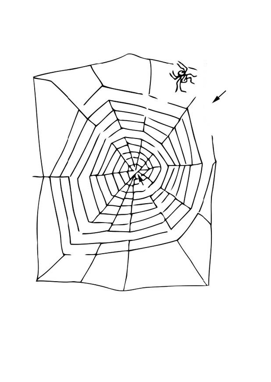 Bilde å fargelegge labyrint - spindelvev