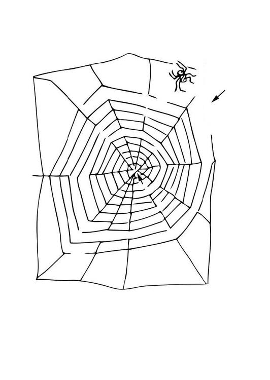 labyrint - spindelvev