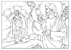 Lasarus