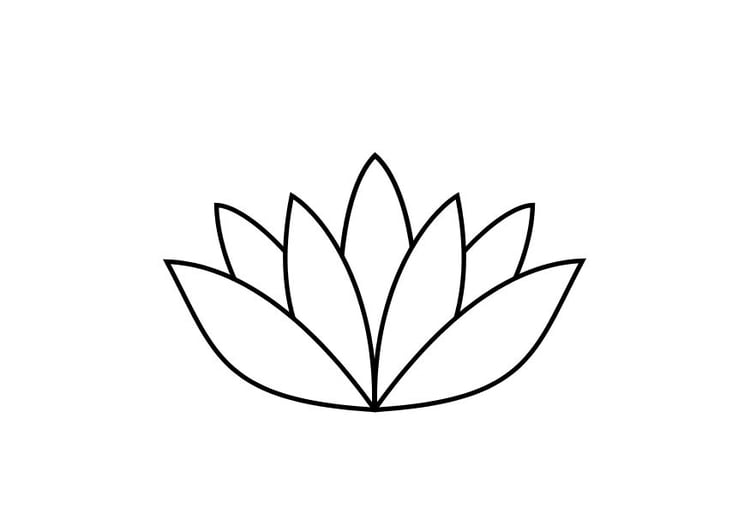 Bilde å fargelegge lotus blomst