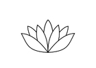 lotus blomst