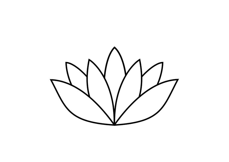 Bilde å fargelegge lotusblomst