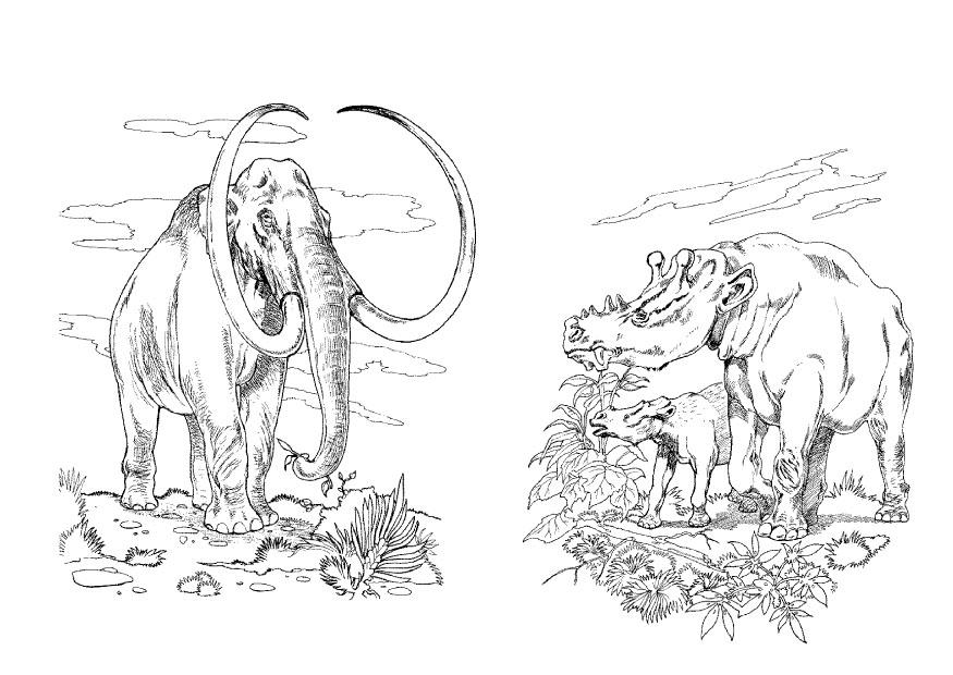 Bilde å fargelegge mammut med langt hÃ¥r