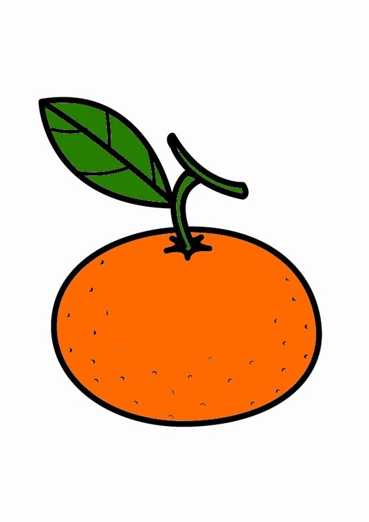 Bilde å fargelegge mandarin