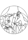 mangrove røtter