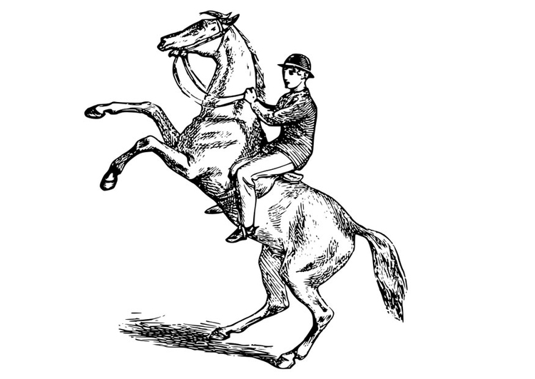 Bilde å fargelegge mann pÃ¥ hest