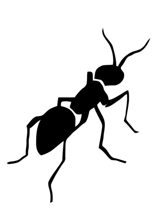 Bilde å fargelegge maur