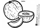 Fargeleggingsbilde melon