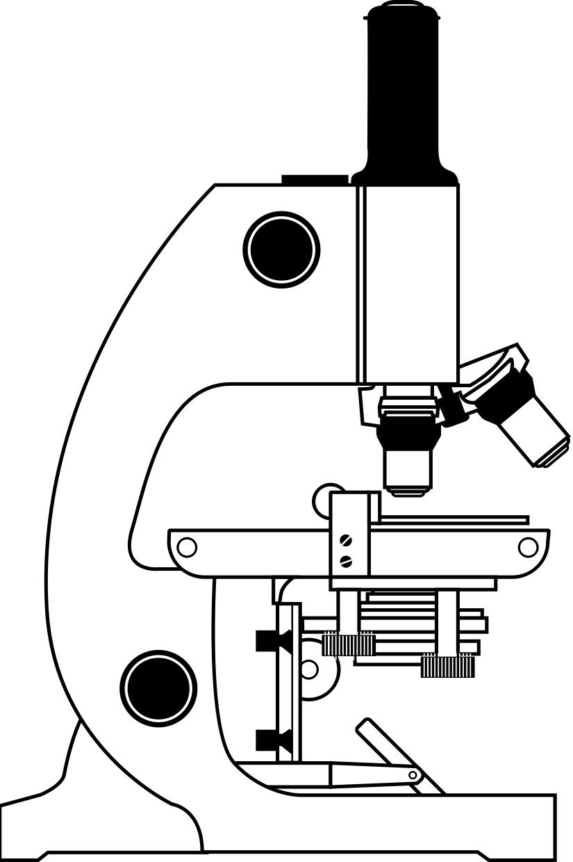 Bilde å fargelegge mikroskop