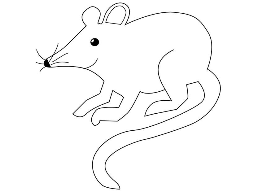 Bilde å fargelegge mus