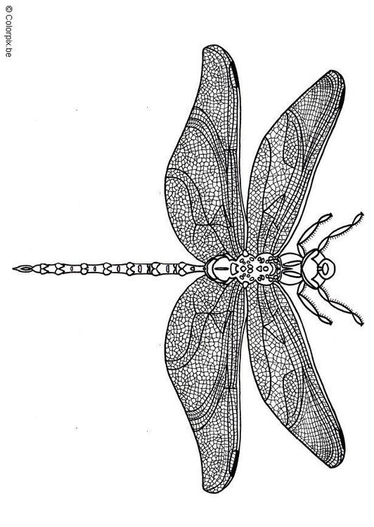 Ã¸yenstikker