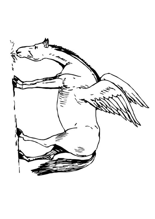 pegasus