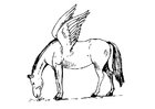 Fargeleggingsbilde pegasus