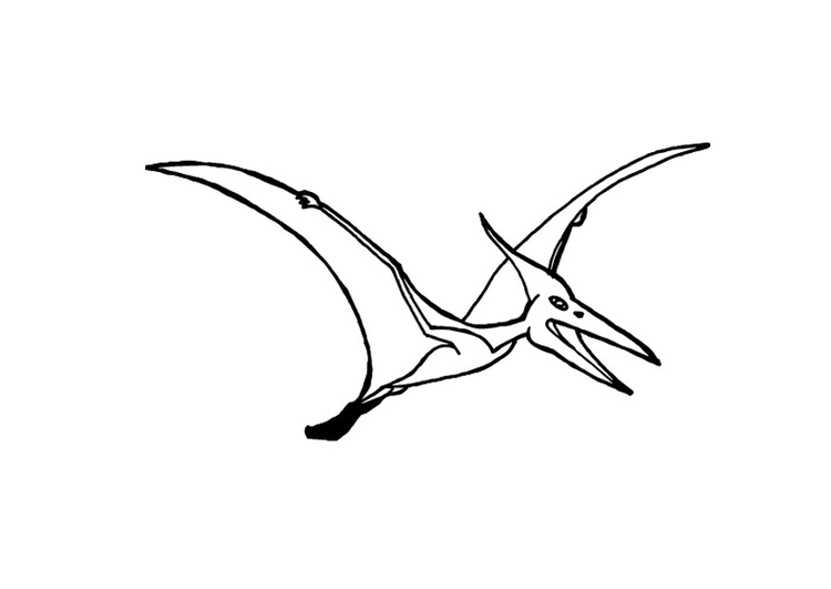 Bilde å fargelegge pterosaurus