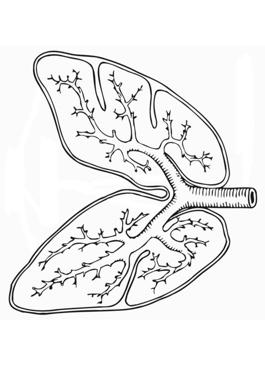 pustesystem