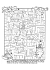 redningsaksjon - labyrint