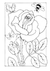Fargeleggingsbilde rose med bie og sommerfugl