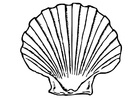 skjell
