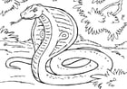 Bilder � fargelegge slange - kobra