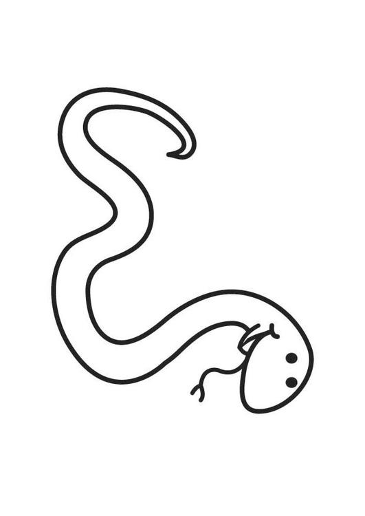 slange