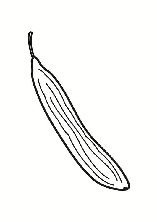 slangeagurk