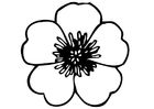 smørblomst