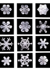Foto snøflak - snøkrystall