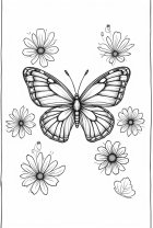 sommerfugl blant blomstene